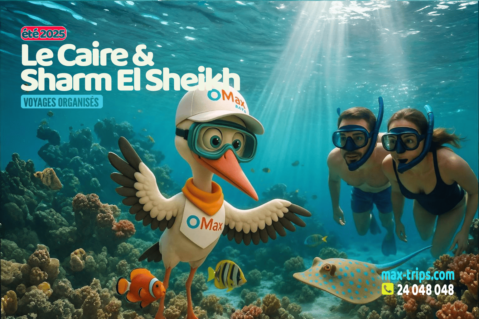 DÉCOUVERTE MAGIQUE : LE CAIRE & SHARM EL SHEIKH